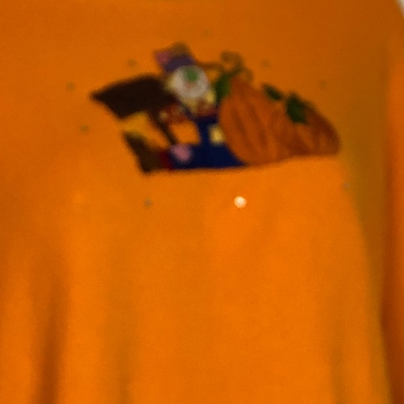 Cute for Thanksgiving Quacker L/S Top Size Small - Picture 8 of 8